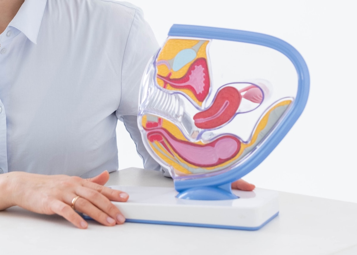Como o implante hormonal pode afetar sua fertilidade? a woman sitting at a desk with a model of a stomach