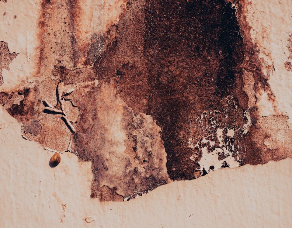 Como proteger sua casa contra infiltrações? Close-up of a textured wall with peeling paint showing natural decay patterns and colors.