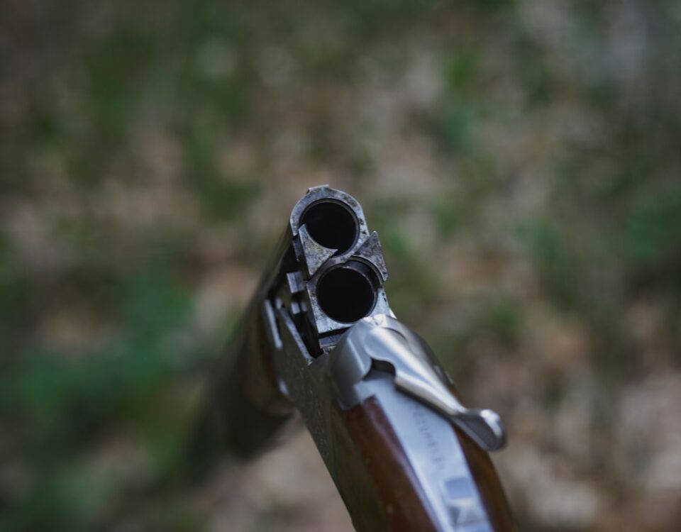 O que diferencia espingardas e carabinas? shallow focus photo of brown rifle