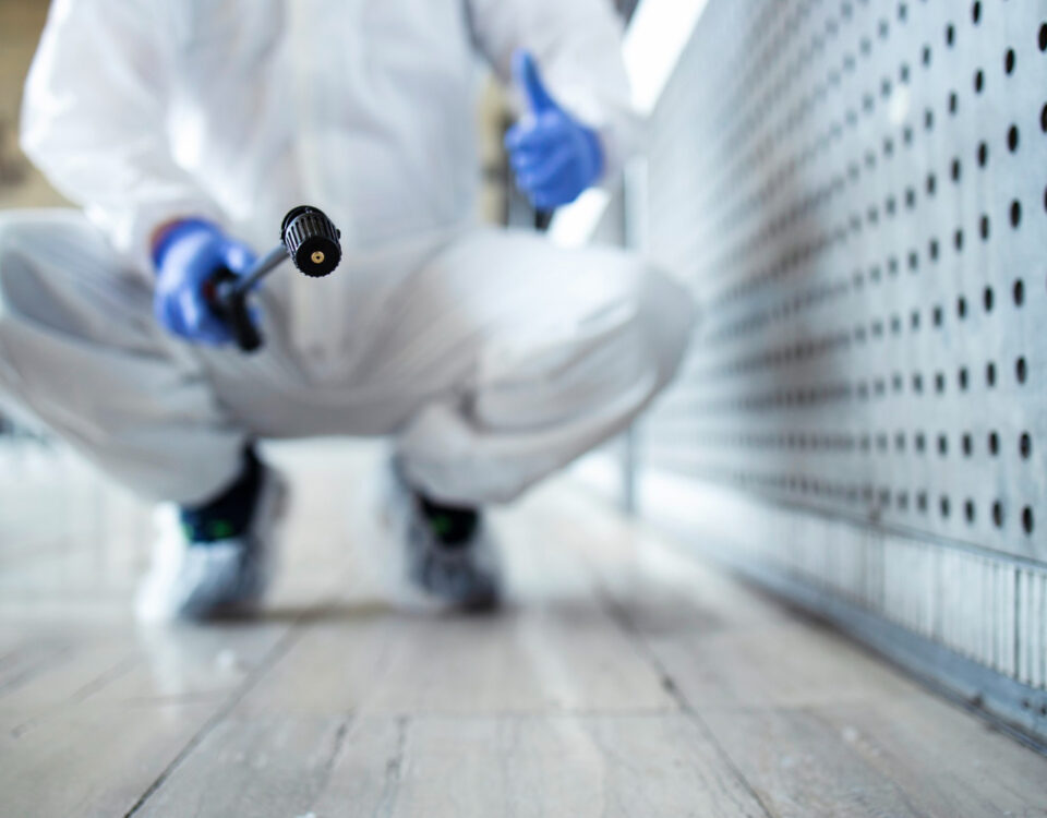 Existe época certa para fazer dedetização? Descubra a melhor data Existe época certa para fazer dedetização? Descubra a melhor data