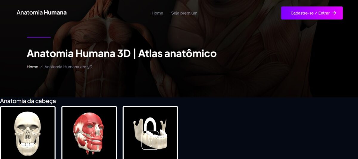 Qual a parte mais resistente do corpo humano? Reprodução do site Anatomia Humana Online, um dos mais completos sobre ensino anatômico.
