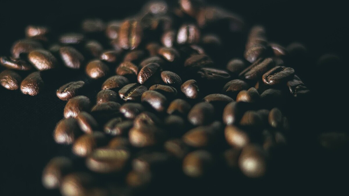 Café tradicional, gourmet ou especial: o que muda na xícara? Grãos de café torrados espalhados sobre superfície escura