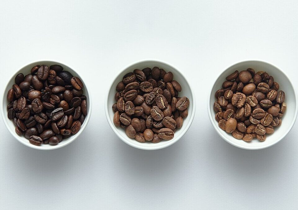 Três tigelas com grãos de café em diferentes pontos de torra