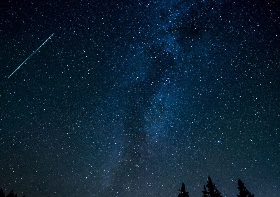 Meteoro riscando o céu estrelado sobre silhuetas de árvores