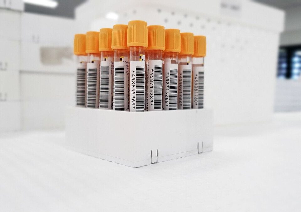 Tubos de coleta com amostras de sangue organizados em uma estante de laboratório